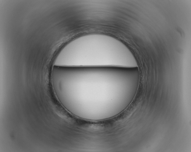 X0000113550303200909181005