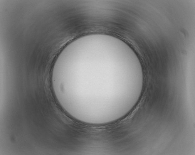 X0000113550305200909181005