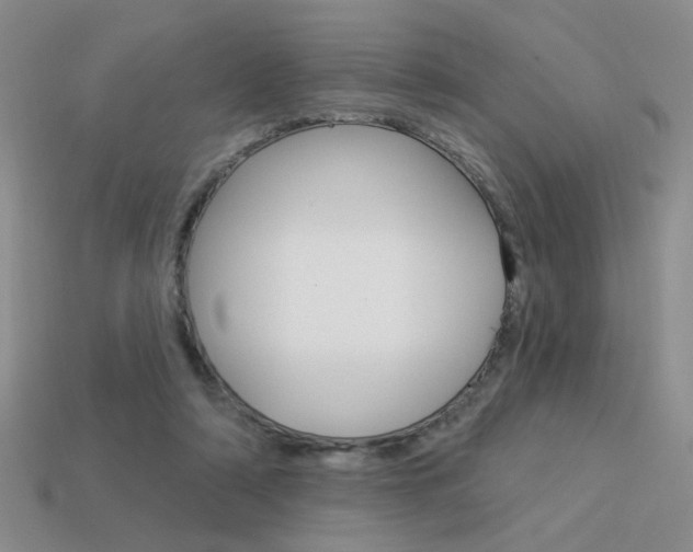 X0000113550306200909181005