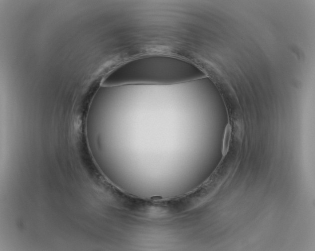 X0000113550308200909181005