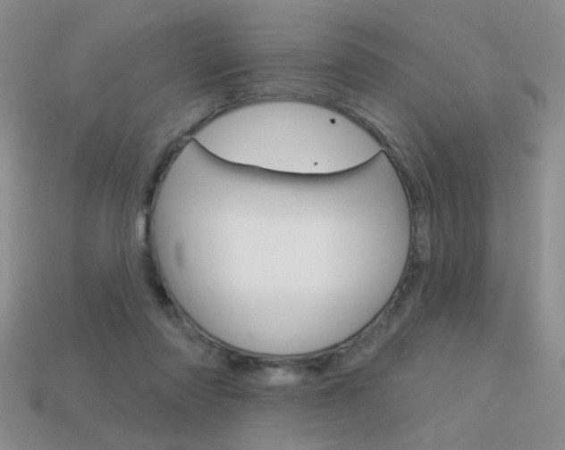 X0000113550310200909181005