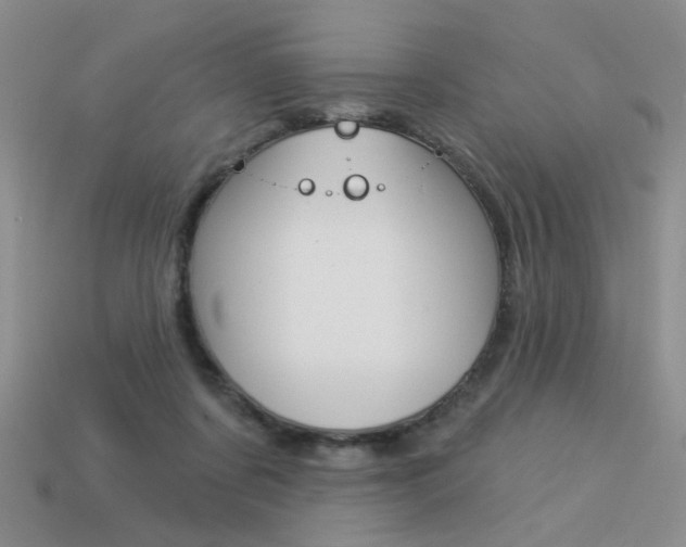 X0000113550311200909181005