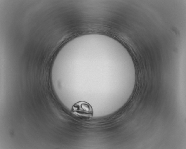 X0000113550312200909181005