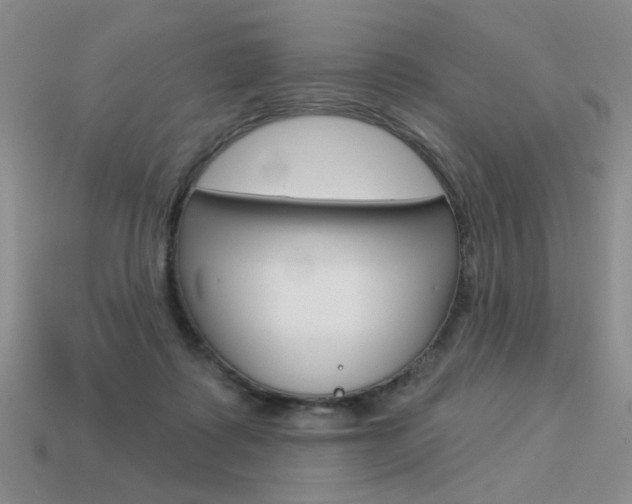 X0000113550315200909181005
