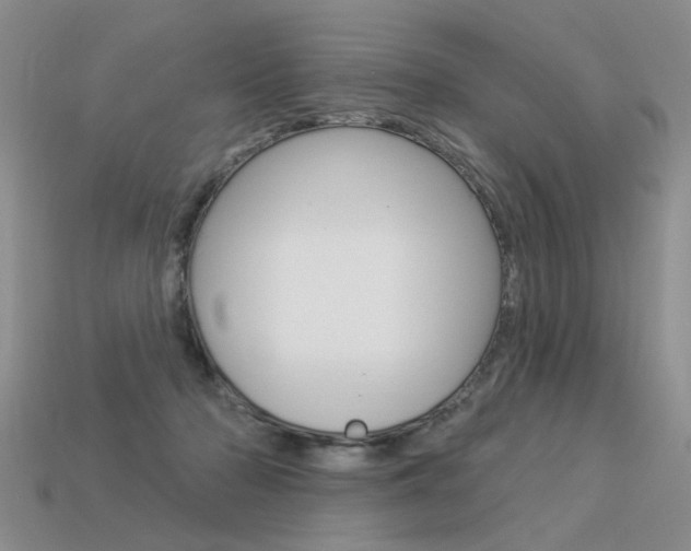 X0000113550318200909181005