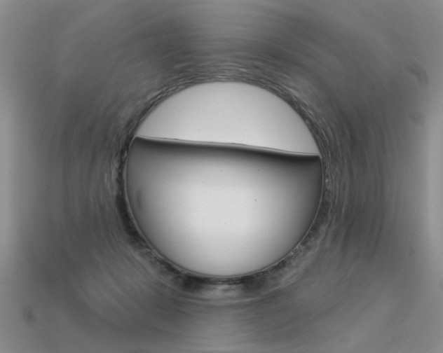 X0000113550319200909181005