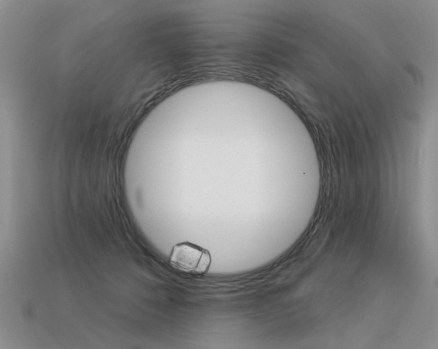 X0000113550320200909181005