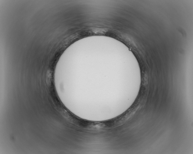 X0000113550321200909181005