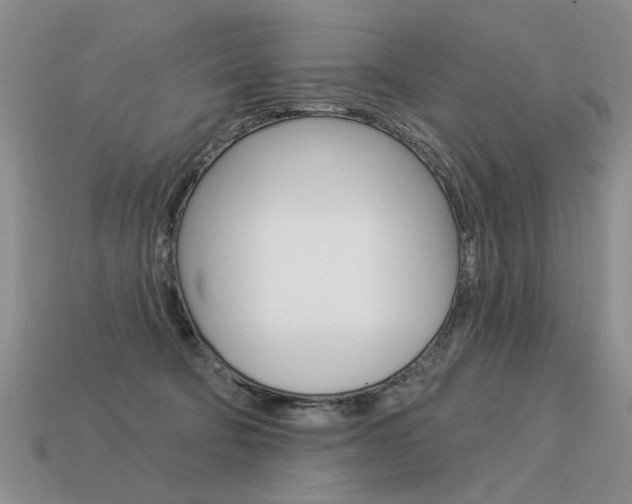 X0000113550322200909181005