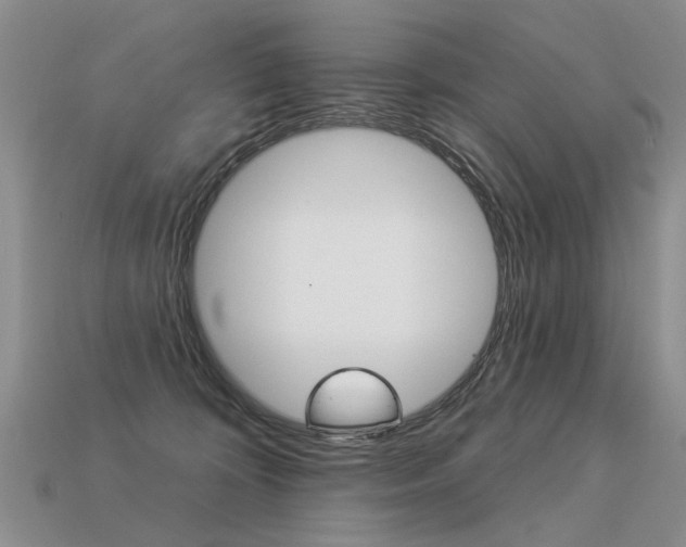 X0000113550324200909181005