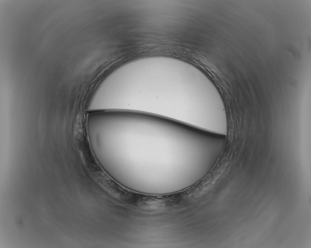 X0000113550325200909181005