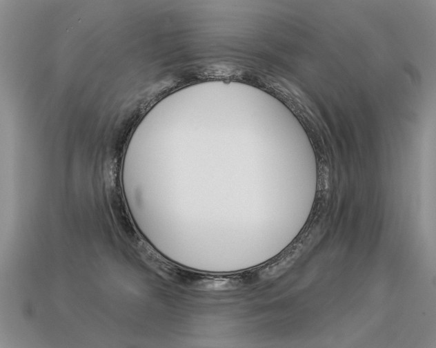 X0000113550326200909181005