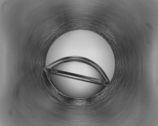 X0000113550328200909181005