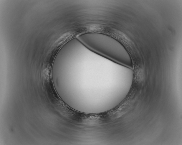 X0000113550329200909181005