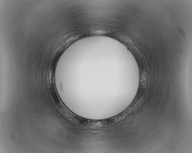 X0000113550330200909181004