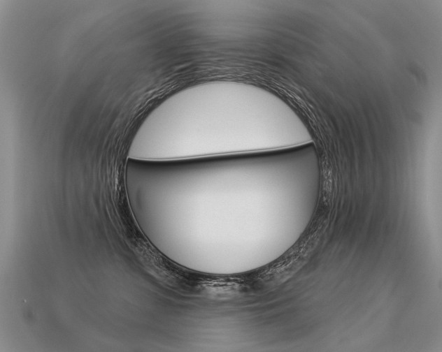 X0000113550331200909181004