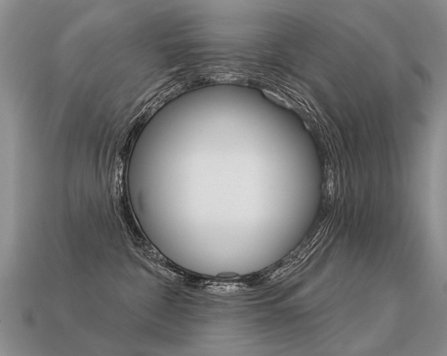 X0000113550332200909181004
