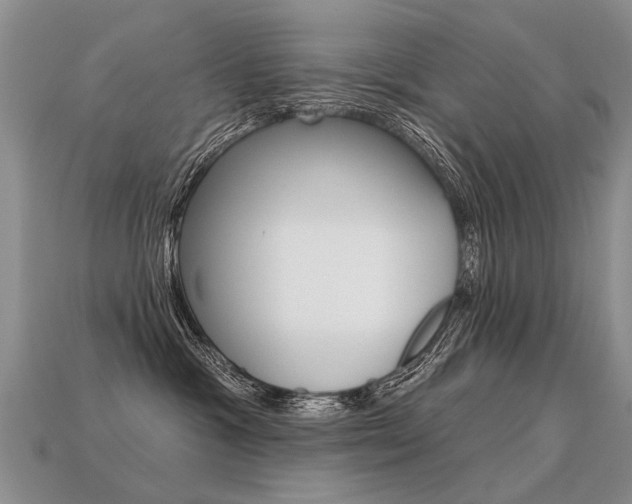 X0000113550333200909181004