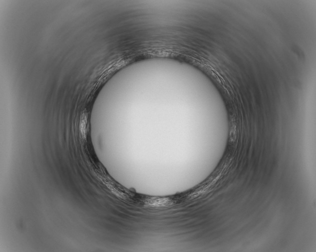 X0000113550334200909181004