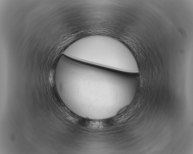 X0000113550335200909181004
