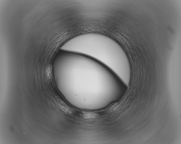 X0000113550336200909181004