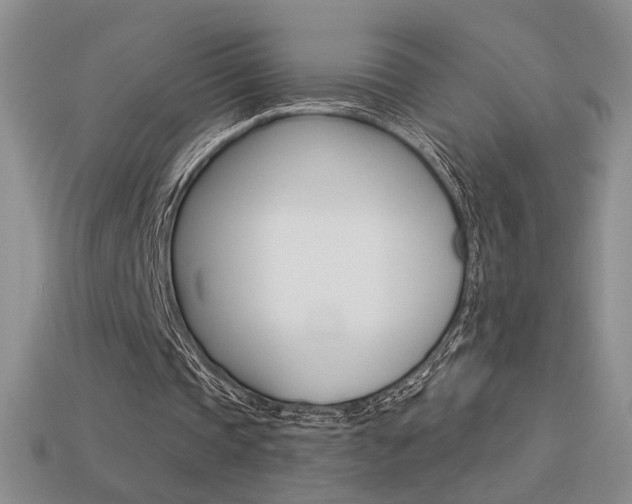 X0000113550337200909181004