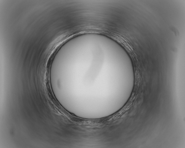 X0000113550338200909181004