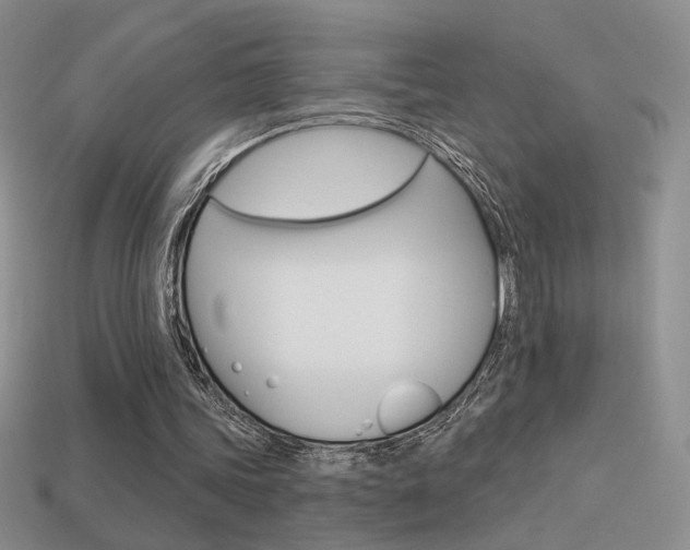 X0000113550339200909181004