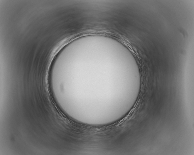 X0000113550340200909181004