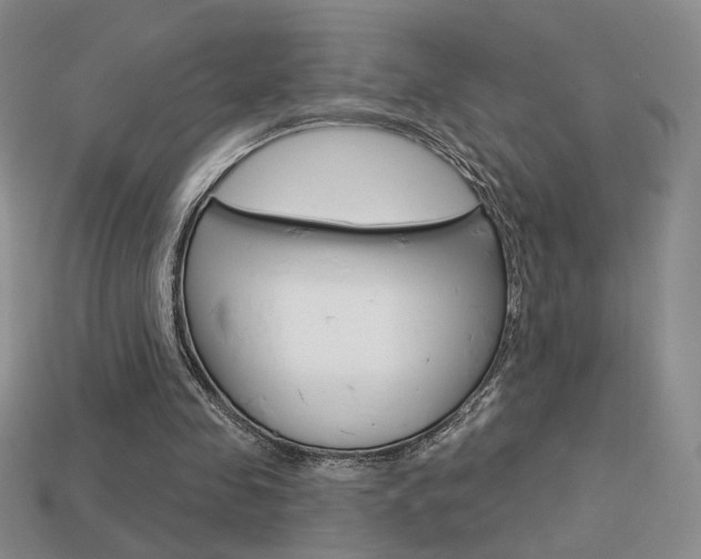 X0000113550341200909181004