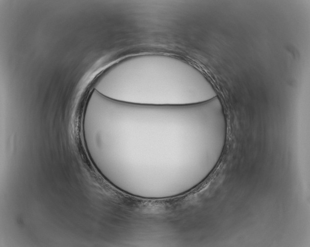 X0000113550343200909181004