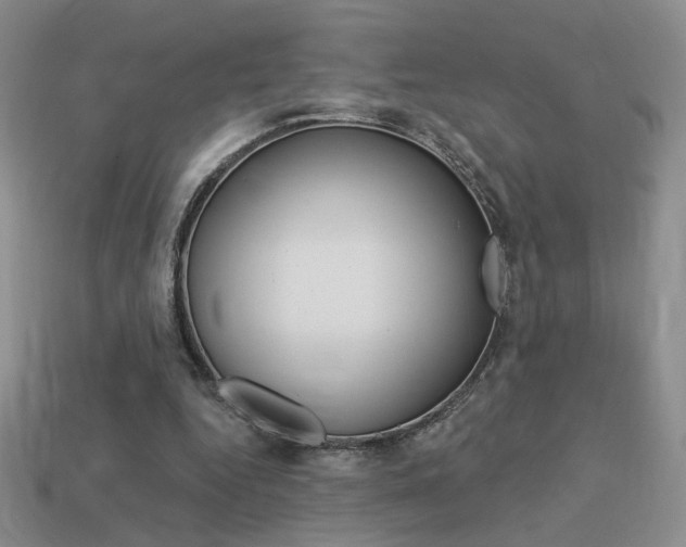 X0000113550344200909181004