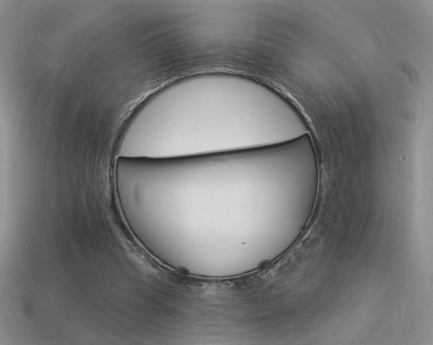 X0000113550345200909181004