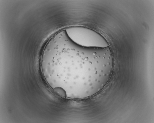 X0000113550346200909181004