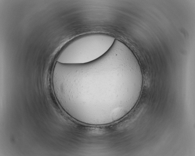 X0000113550347200909181004