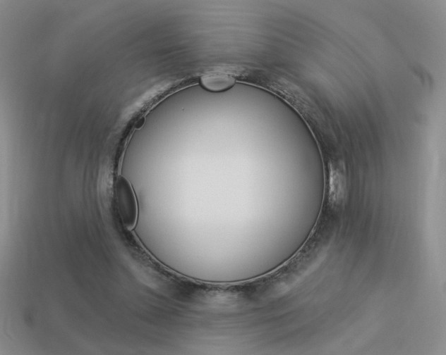 X0000113550348200909181004