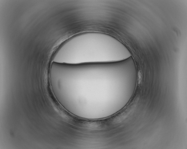 X0000113550349200909181004