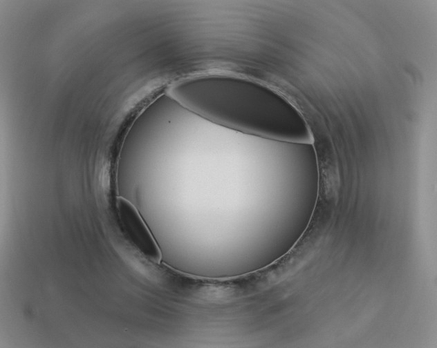 X0000113550350200909181004