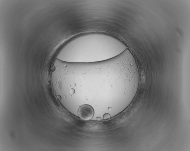 X0000113550351200909181004