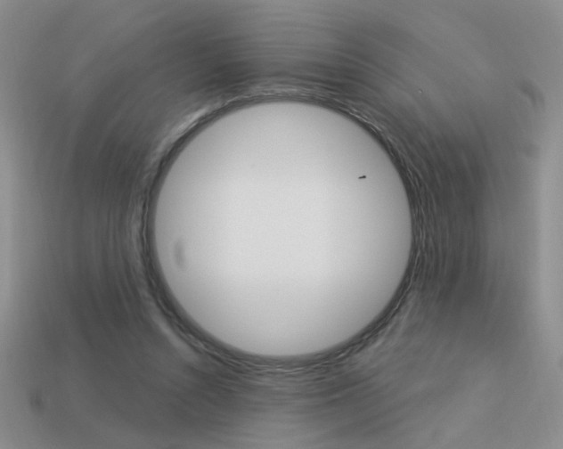 X0000113550352200909181004