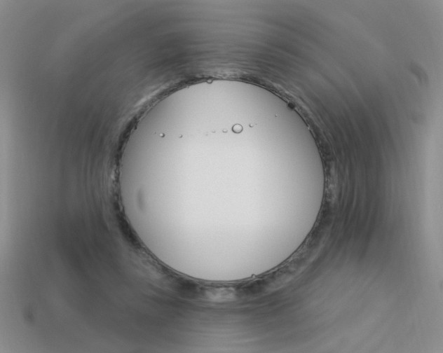 X0000113550355200909181004