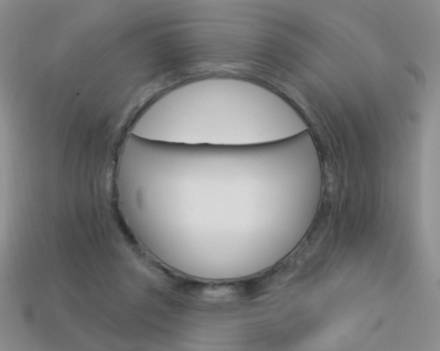 X0000113550357200909181004