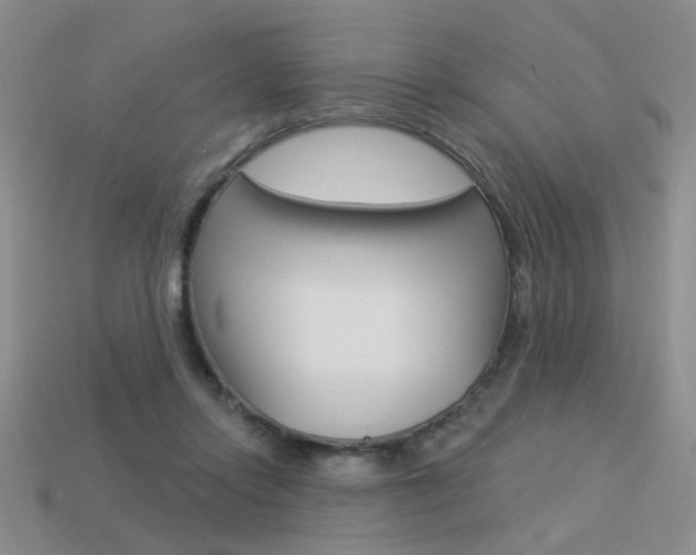 X0000113550358200909181004
