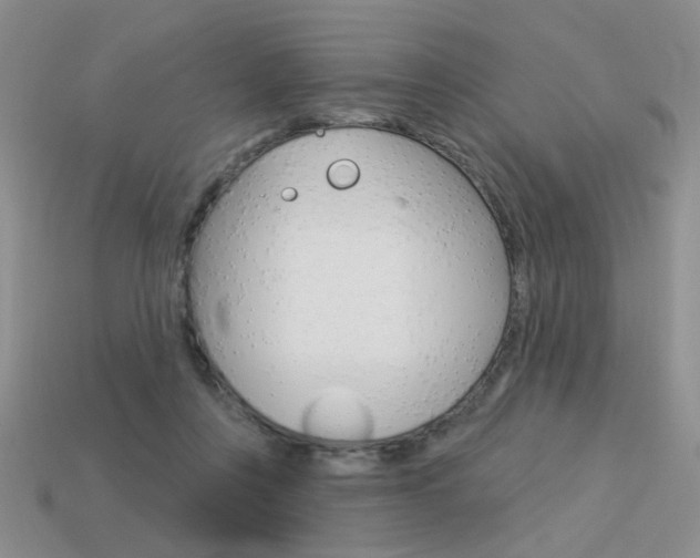 X0000113550359200909181004