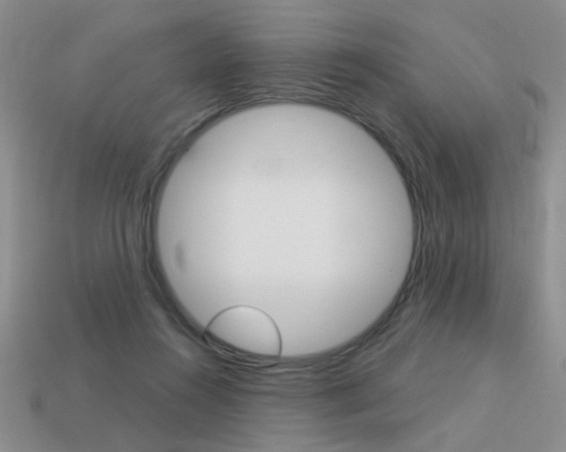 X0000113550360200909181004