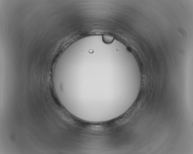 X0000113550361200909181004
