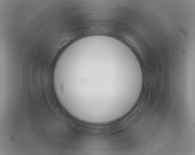 X0000113550362200909181004