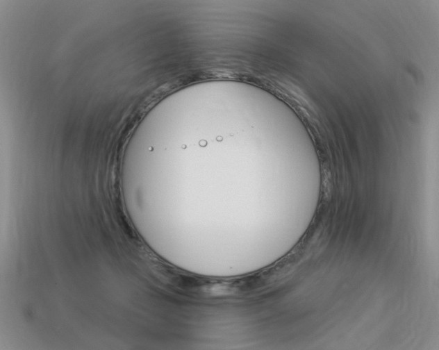 X0000113550365200909181004