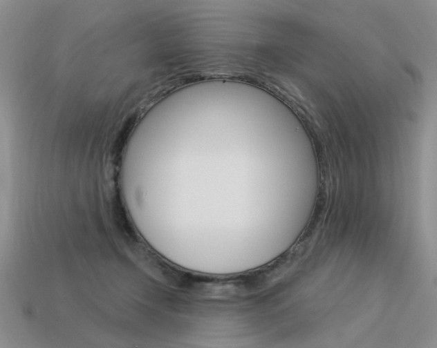 X0000113550366200909181004