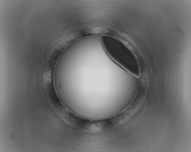 X0000113550368200909181004